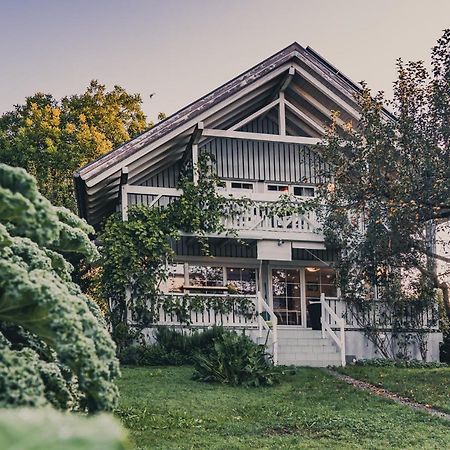 Gardenia-Altach, 2-4 P, Kueche, Garten, Terrasse, Parkplatz, Wifi, Ski Stellplatz Dış mekan fotoğraf